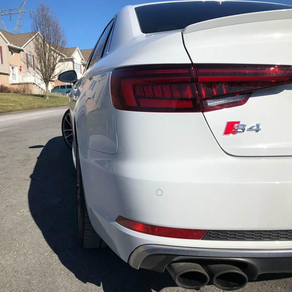 Meet your Posher, Steve - Picture 2 of 7